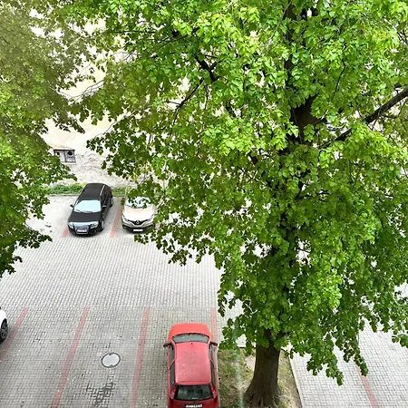 Apartment Park House Deluxe- Free Parking