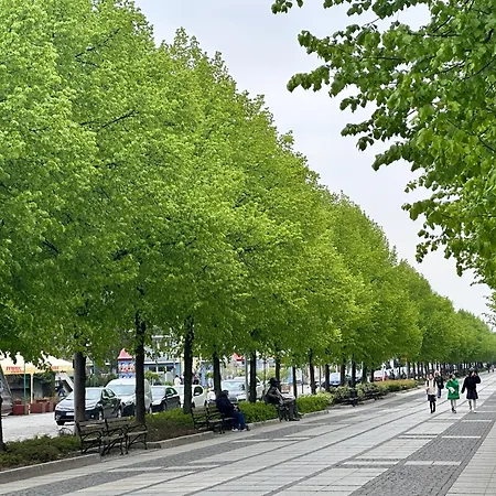 Διαμέρισμα Park House Deluxe- Free Parking *