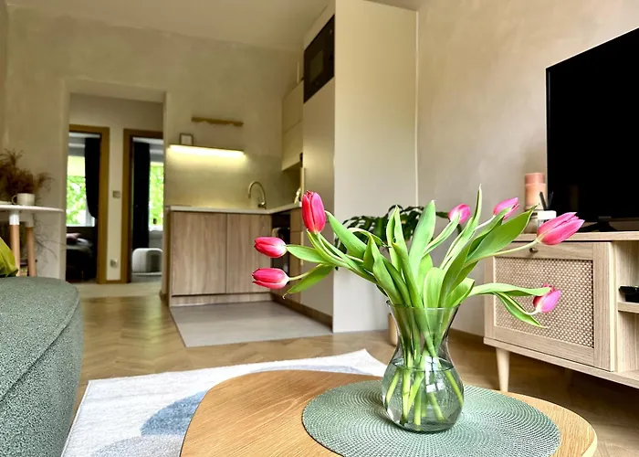 Park House Deluxe- Free Parking Ζεστοκόβα